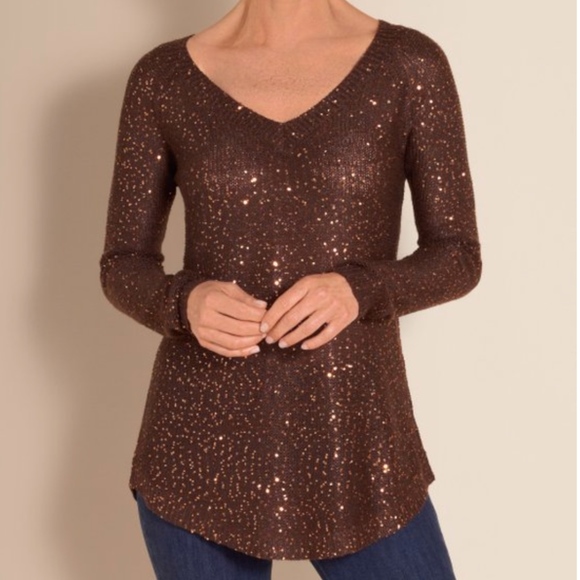 Soft Surroundings Tops - Soft Surroundings Shimmer Long Sleeve Tunic Top